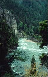 Colorado Stream, Copyright © by James Bynum