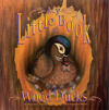 My Little Book of Wood Ducks